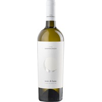 Note di Luna Salento IGP trocken - Cantine San Pancrazio