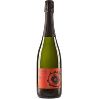 Cava Vilars Costers del Segre DO brut nature - Vinya Els Vilars