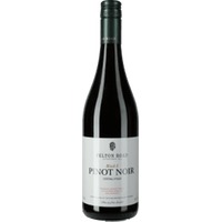 Pinot Noir Block 5