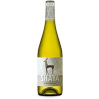 Shaya Verdejo