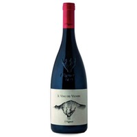 I Vigneri di Salvo Foti Il Vino dei Vigneri