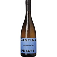 Sauvignon Blanc Friuli DOP
