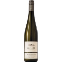 Grüner Veltliner Ried Kremser Kogl Kremstal DAC
