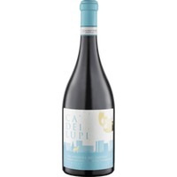 Ca Dei Lupi Falanghina Del Sannio Doc 0.75 L Flasche