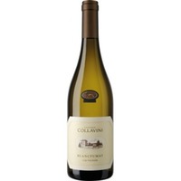 Sauvignon Blancfumat Collio DOC - Collavini