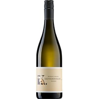 Sauvignon Blanc trocken - Weingut Kneisel