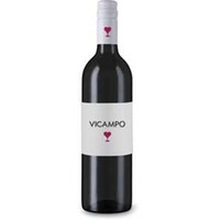 Barbera d'Asti Lavignone Magnum 1,5l