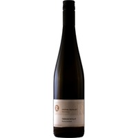 Riesling PHYLLIT feinherb Bio - Weingut Friedel Russler