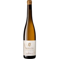 Riesling "Ollwiller Grand Cru" Alsace AOP trocken - Domaine Robert Roth