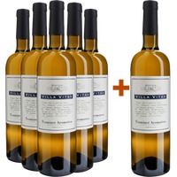 5+1 Paket Traminer Aromatico Friuli DOC - Villa Vitas