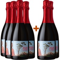 4+2 Paket Conegliano Valdobbiadene Prosecco Superiore DOCG - Terre del Cima