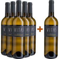 5+1 Paket Chardonnay Friuli DOC - Villa Vitas