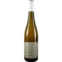 Sankt Laurent Blanc de Noir trocken Bio - Wein- und Sektgut Bergkeller