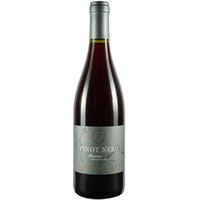 Pinot Nero Riserva Trentino DOC trocken - Cantina Furletti