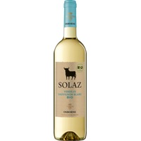 Solaz Verdejo Sauvignon Blanc Castilla VT trocken - Bodegas Osborne