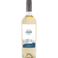 Torrontés Andeluna 1300 Tupungato Mendoza - Andeluna Cellars