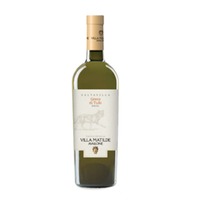 Villa Matilde Greco di Tufo