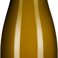 Riesling vom Löss