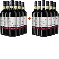 6+6 Paket Augusta Barbera d'Asti Superiore DOCG - Alemat