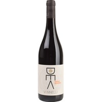 Vini Vannelli Nero Buono, Lazio IGP, Latium, 2023, Rotwein