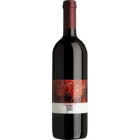 Shiraz/Syrah Ried Fennisberg trocken - Weingut Gratl