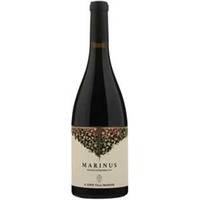 Marinus Rosso Piceno Superiore DOP