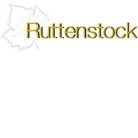 Chardonnay trocken - Ruttenstock