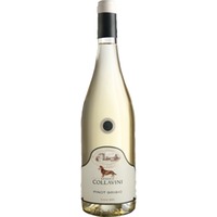 Collavini Pinot Grigio, Friaul IGT, Friaul, 2024, Weißwein