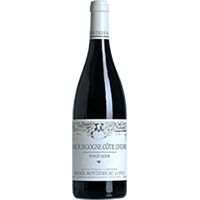 Domaine Michel Bouzereau et Fils : Bourgogne Côte d'Or Pinot Noir
