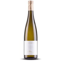 Tramin Pinot Bianco Moriz Alto Adige Trentino-Alto Adige