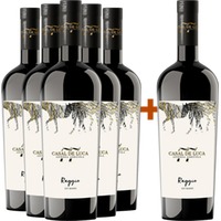 5+1 Paket Raggio Rosso Lazio IGP BIO - Azienda Agricola Casal De Luca