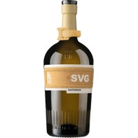Sauvignon Friuli DOC BIO - Mister Bio Wine