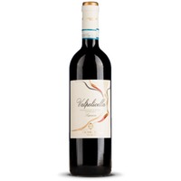 Antiche Terre Venete Valpolicella Superiore Veneto