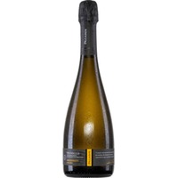 Paladin Prosecco Millesimato, Extra Dry, Prosecco DOC, Venetien, 2024, Perlwein / Secco
