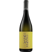 Chardonnay Friuli DOC trocken - Modeano