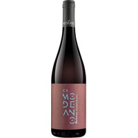 Refosco dal Peduncolo Rosso Friuli DOC trocken - Modeano