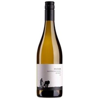 Pflüger Sauvignon Blanc Quarzit BIO – mineralisch & kräuterbetont