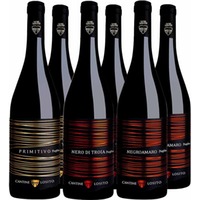 Cantine Losito Rotwein-Paket BIO - Cantine Losito