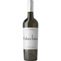 Falanghina Campania IGP - Giovanni Molettieri