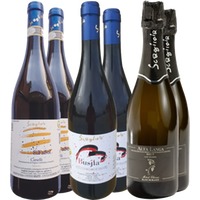 Premium Scagliola Giacomo Kennenlern-Paket - Scagliola Giacomo