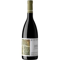 Traminer Aromatico Trevenezie IGP - Berto & Fiorella Baccichetto