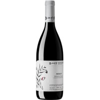 Merlot Venezia Giulia IGP - Berto & Fiorella Baccichetto