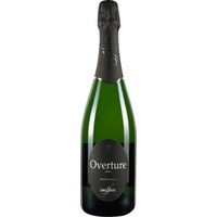 Spumante Overtur Trento DOC - Delaiti