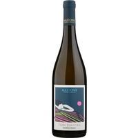 Terre bianche Murgia IGP BIO - Azienda Agricola Mazzone