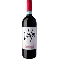 Valpo Valpolicella Ripasso Superiore DOC BIO - Società Agricola Fasoli Gino