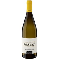 Pinot Grigio Trentino DOC - Endrizzi