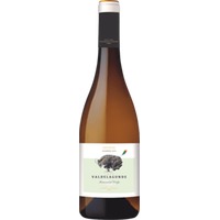 Valdelagunde Cuvée Especial Castilla y Léon 1,5 l Magnum - Bodegas Pedro Escu