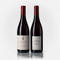 Bourgogne Hautes Côtes de Nuits Les Dames de Vergy