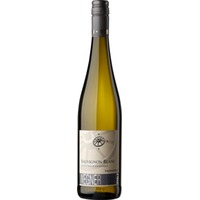 Dürkheim Sauvignon Blanc trocken - Weingut Karl Wegner