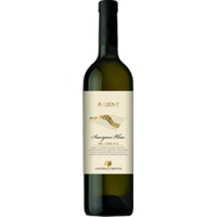 Sauvignon Blanc Trentino DOC Arjent